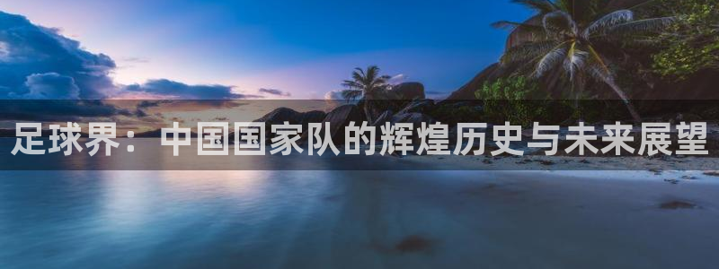 足球界：中国国家队的辉煌历史与未来展望