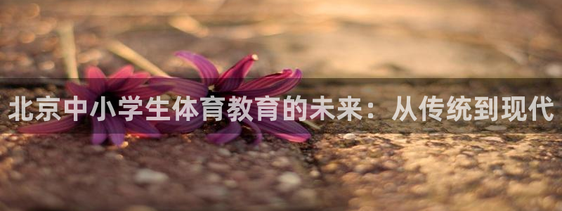 北京中小学生体育教育的未来：从传统到现代